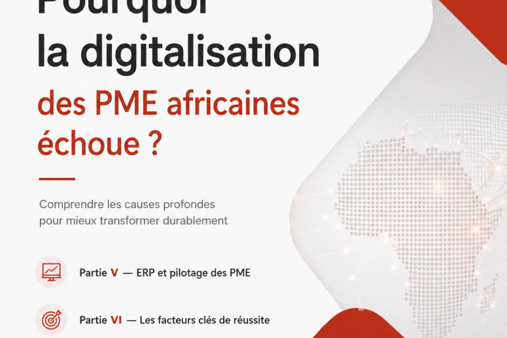 Quel ERP pour une PME africaine ? Comparatif | Vol.3