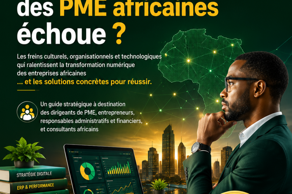 Projet ERP : pourquoi il échoue en Afrique | Vol.2
